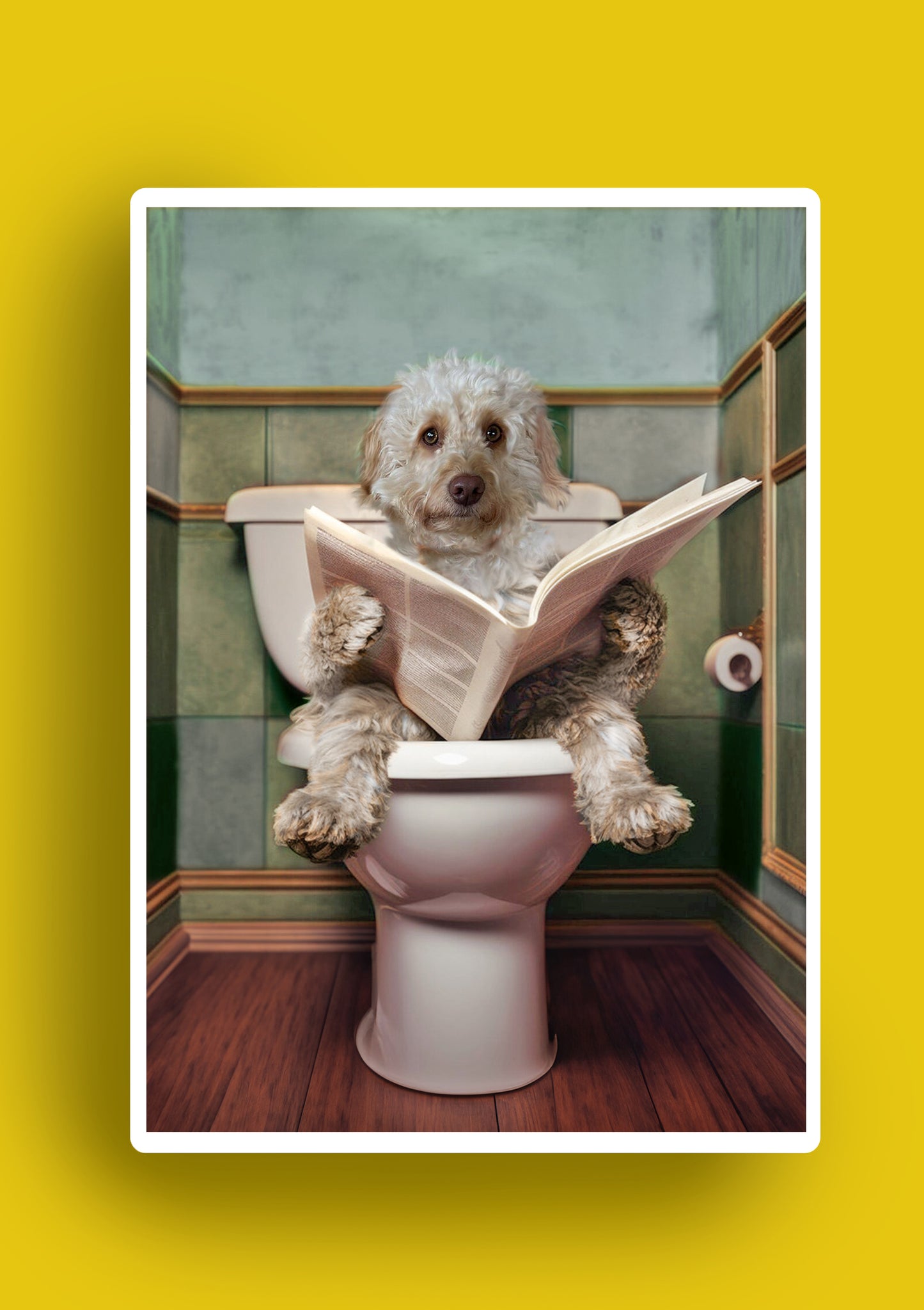 Blonde Cockapoo / Spaniel