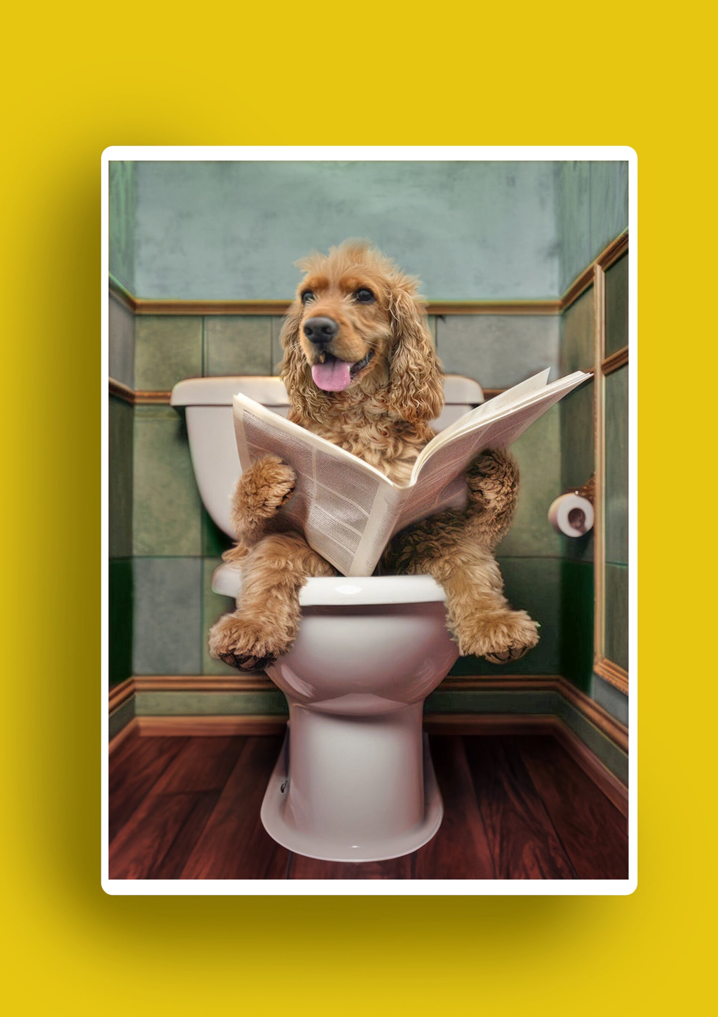 Blonde Cockapoo / Spaniel